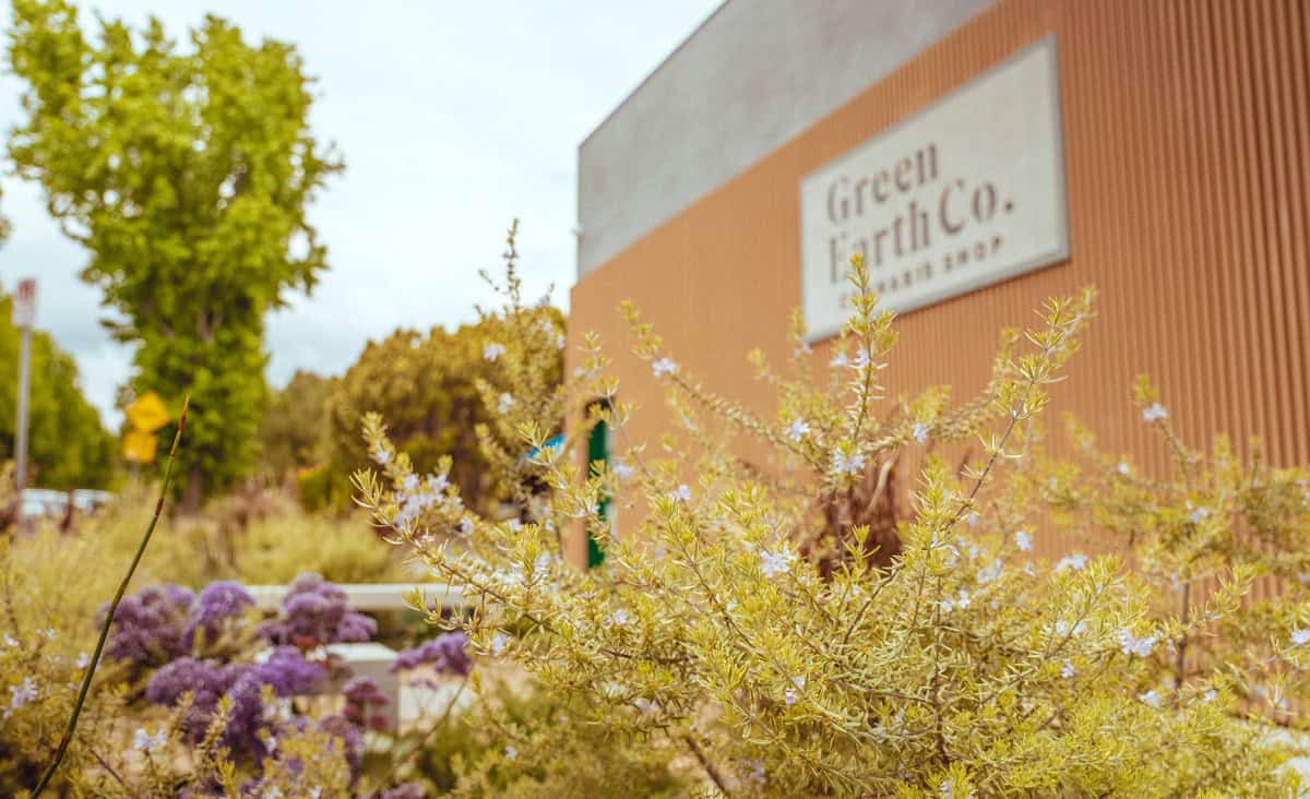 A lush garden filled with various green plants and purple flowers is in the foreground. In the background, a beige building with a partially visible sign that reads "Green Earth Collective" stands under the sunny sky. CA Norml