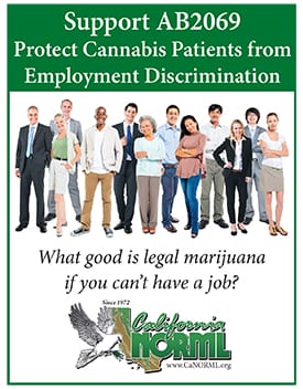 A diverse group of professionally dressed people stands against a white background. The text above reads, "Support AB2069: Protect Cannabis Patients from Employment Discrimination." Below is the question, "What good is legal marijuana if you can’t have a job?" Advocate for worker protections. The bottom features the California NORML logo. CA Norml