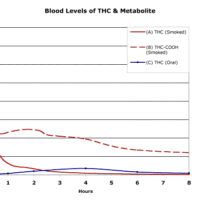 A line graph titled "Blood Levels of THC & Metabolite" shows THC levels over 8 hours. The red solid line represents THC (smoked), the red dashed line represents THC-COOH (smoked), and the blue line represents THC (oral). The y-axis is labeled in ng/ml in plasma, highlighting NORML Opposes Per-Se Limit standards. CA Norml