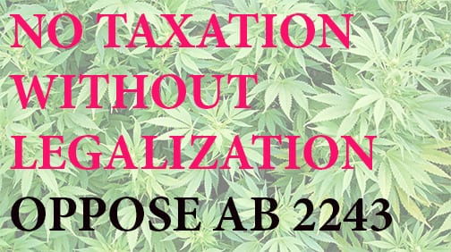 A background of green cannabis leaves with overlaying text in red that reads "NO TAXATION WITHOUT LEGALIZATION" and in black that reads "OPPOSE AB 2243". The bold message calls on CA legislators to reconsider tax bills impacting medical marijuana. CA Norml