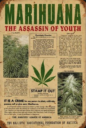 A vintage poster titled "Marihuana: The Assassin of Youth," featuring bold green and red text, illustrations of cannabis plants and leaves, and a general warning about the dangers of youth marijuana use. The poster includes various textual sections and a large cannabis leaf graphic. CA Norml