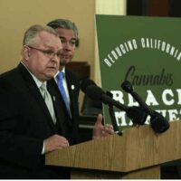 Two men at a podium during a press conference, standing in front of a sign that reads "Reducing California's Cannabis Black Market." The man on the left, wearing a suit and glasses, is speaking into multiple microphones about the new bill introduced to tackle cannabis taxes while the other man looks on. CA Norml