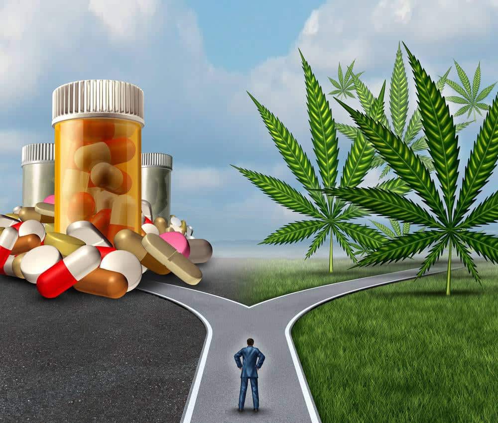 A person stands at a fork in the road. The left path leads to a heap of prescription pill bottles and pills, symbolizing the opioid crisis, while the right path leads to large cannabis plants, hinting at marijuana legalization. The background consists of a cloudy sky and green grass. CA Norml