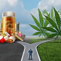 An illustration depicts a man standing at a fork in the road. One path leads to a pile of medication bottles and pills, while the other path leads to a cannabis plant. The scene symbolizes a choice between traditional pharmaceuticals and medical cannabis, highlighting issues like marijuana legalization. CA Norml