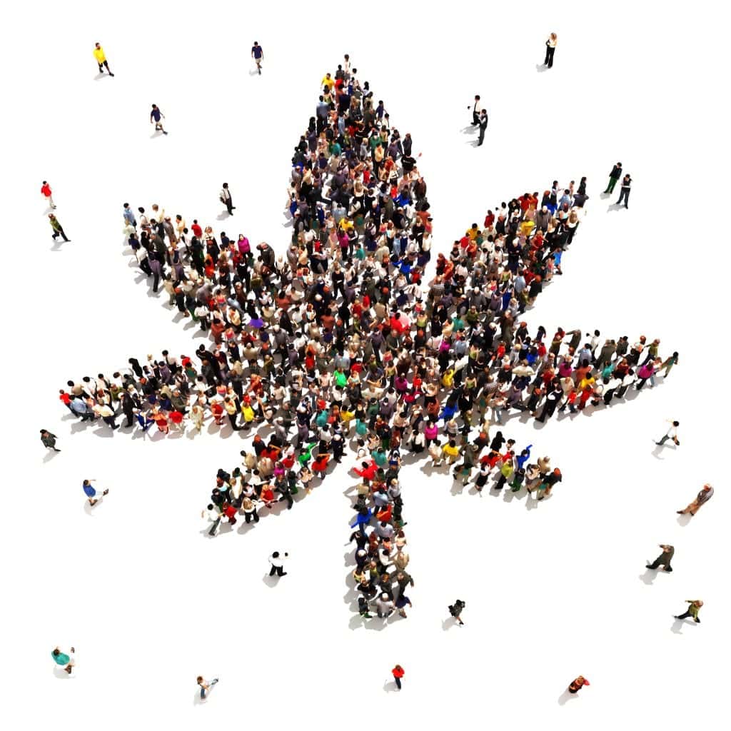 A large group of people gathered together on a white background, forming the shape of a cannabis leaf, reminiscent of Lobby Day 2017 in Sacramento. Smaller groups of individuals are scattered around the main formation, captured from a bird's-eye view. CA Norml