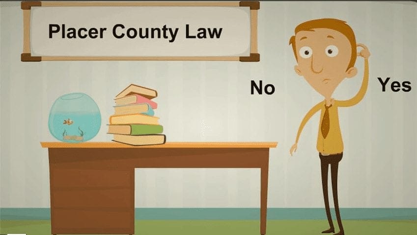 A cartoon depicts a confused man standing next to a desk with a fishbowl and a stack of books. A sign above reads "Placer County Law." The man ponders two signs above his shoulders saying "No" and "Yes," contemplating the banning of commercial cannabis cultivation. CA Norml