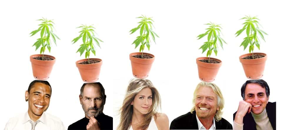 An image shows four potheads smiling with potted plants levitating above their heads. Each plant is tall with green leaves. The individuals include two men and two women against a white background, appearing cheerful and productive. CA Norml