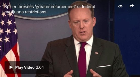 A person in a suit and tie stands at a podium with an American flag in the background. The text overlay reads, "Spicer foresees 'greater enforcement' of federal regulations on cannabis." There is a play button indicating a video with a duration of 2:04. CA Norml