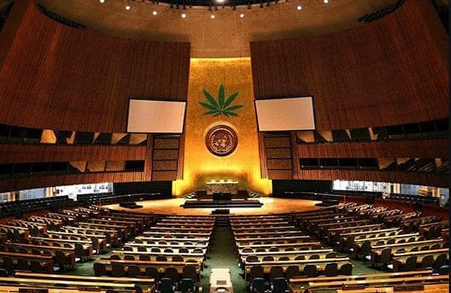 A large, empty auditorium with rows of seats facing a central stage. The back wall features a gold emblem and two projector screens on either side of a large green cannabis leaf symbol, possibly highlighting the efforts of NORML for the international rescheduling of cannabis. The room has warm lighting and wood paneling. CA Norml