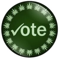 A circular green button with the word "vote" and a check mark next to it, designed to catch the eye of local elections participants. The border is adorned with leaf symbols resembling marijuana leaves, appealing to marijuana advocates. CA Norml