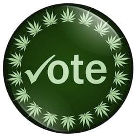 A circular green button with the word "vote" and a check mark next to it, designed to catch the eye of local elections participants. The border is adorned with leaf symbols resembling marijuana leaves, appealing to marijuana advocates. CA Norml