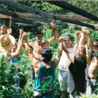 Under the warm glow of a California sunset, a group of eight people stands in a circle in an outdoor lush green field, raising their hands and holding each other's hands up high. Most are wearing hats, and a few are shirtless. Wooden beams are visible overhead, and the background shows dense leafy plants. CA Norml