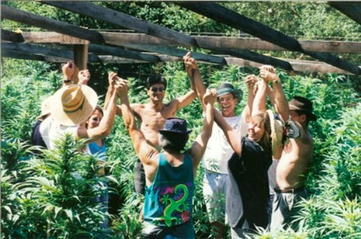 Under the warm glow of a California sunset, a group of eight people stands in a circle in an outdoor lush green field, raising their hands and holding each other's hands up high. Most are wearing hats, and a few are shirtless. Wooden beams are visible overhead, and the background shows dense leafy plants. CA Norml