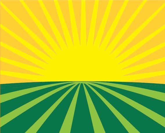 Illustration of a bright yellow sun rising or setting above a green field. Sun rays extend outwards, filling the sky with a gradient of yellow to orange, while green stripes extend from the bottom, creating a sense of depth in the field—a perfect backdrop for the California Cannabis Business Conference hosted by NCIA. CA Norml