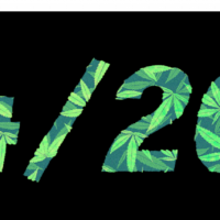 4/20" written with text filled with green cannabis leaves pattern on a black background, celebrating the community spirit fostered by Cal NORML's memberships and events. CA Norml