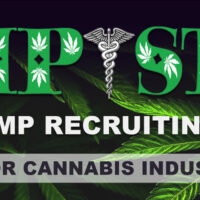 Banner image with text: "Hemp Staff - Cannabis/Hemp Recruiting & Training." Background features cannabis leaves. A banner along the bottom reads, "Click Here for Surviving in the 2020 Style Cannabis Industry. CA Norml