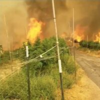 A large wildfire consumes vegetation in a rural area, with flames and thick smoke filling the sky. The fire is close to a fenced-off path or road, and green bushes are visible in the foreground. Highlighting the necessity of disaster preparedness, the scene is chaotic and dangerous. CA Norml