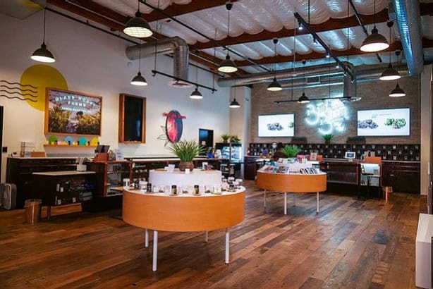 A modern, well-lit dispensary with wooden floors and high ceilings. Circular wooden display tables hold products, and large plants are placed around the store. A neon sign on the back wall adds ambiance. Several light fixtures hang from the ceiling, enhancing the farmacy's inviting atmosphere. CA Norml