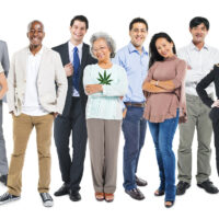 A diverse group of 12 adults posing for a photo against a white background. They are wearing various types of clothing, from casual to formal. One person is holding a cannabis leaf, sparking discussions about evolving policy. The group includes a mix of genders, ages, and ethnic backgrounds. CA Norml