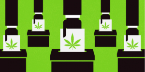 A graphic illustration depicting a series of voting machines with hands inserting ballots, each featuring an image of a cannabis leaf. The overall color scheme is green and black, emphasizing the significance of Cannabis Candidates in the upcoming June 2022 primary election. CA Norml