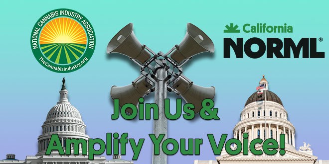 An image featuring the logos of the National Cannabis Industry Association and California NORML. A central megaphone sits between the U.S. Capitol in DC and the California State Capitol in Sacramento. The caption reads: "Join Us & Amplify Your Voice! CA Norml