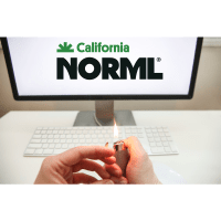 A person holds and lights a lighter in front of a computer screen displaying the California NORML logo with a green leaf illustration. On the desk below, beside a white keyboard and mouse, sits a media kit detailing additional benefits of membership. CA Norml