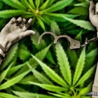 A pair of hands, one in a handcuff and the other breaking free, are raised against a background of marijuana leaves. The image suggests liberation or freedom in the context of Prop. 64 and marijuana arrests. CA Norml