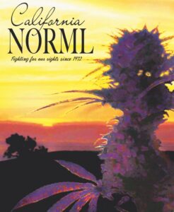 Poster displaying a cannabis plant silhouette against a vibrant sunset background. The text reads "California NORML" and "Fighting for our rights since 1972, advocating Medical Marijuana." The foreground features detailed cannabis leaves and buds. CA Norml