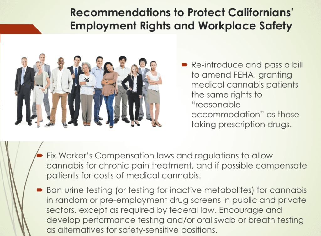 A slide titled "Recommendations to Protect Californians' Employment Rights and Workplace Safety" features diverse people on the left and bulleted recommendations on the right. Recommendations include revising laws and policies related to medical cannabis users and drug testing, discussed in a recent Senate hearing. CA Norml