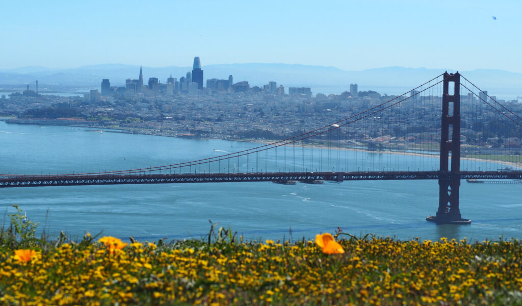 The Golden Gate Bridge spans across the blue waters, with the San Francisco skyline in the background. Yellow flowers bloom in the foreground, adding a vibrant contrast to this essential California scene. The sky is clear and blue. CA Norml
