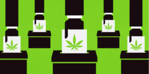 Illustration of papers with cannabis leaf symbols being inserted into ballot boxes, set against a green background. The repetitive pattern suggests an election focused on marijuana reform or activism related to cannabis legalization. CA Norml