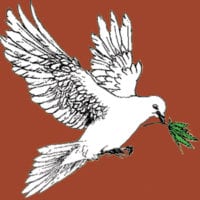 A white dove carrying a green olive branch in its beak is depicted against a brown background, symbolizing peace and hope, reminiscent of the support provided in hospice care. Its wings are spread wide, and the detailed illustration highlights the intricate feathers and tranquil expression of the bird. CA Norml