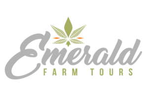 Logo of Emerald Farm Tours featuring the company name in large, cursive green text with a stylized marijuana leaf above. The background is light green, and beneath the "Emerald" text, "FARM TOURS" is written in smaller, uppercase font—perfect for your San Francisco event and reception celebrating the 25th Anniversary of Prop 215. CA Norml