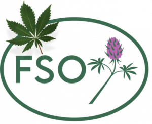 Logo consisting of an oval outline containing the letters "FSO" in green. A green cannabis leaf is placed above the letter "F" and a purple clover flower extends from the letter "O" towards the right. The overall design has a botanical theme. CA Norml