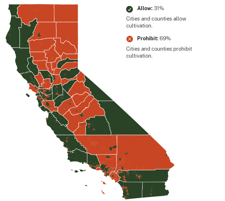 A map of California showing areas where cities and counties allow or prohibit cannabis cultivation. Green areas (31%) indicate allowance, while red areas (69%) indicate prohibition. Most of the central and northern regions are red, with green predominantly in southern regions following specific guidelines. CA Norml