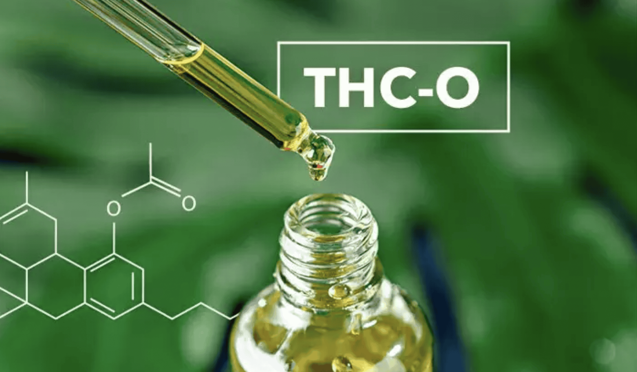 A dropper with yellow liquid is held over an open bottle labeled "THC-O Acetate" with a chemical structure in the background. The image, featuring a green leafy backdrop, suggests a natural or plant-based product. CA Norml