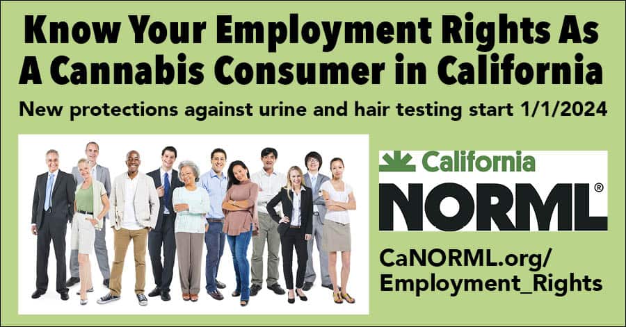 A diverse group of people standing in business attire against a green background with text that reads: "Know Your Employment Rights As A Cannabis Consumer in California. New protections against urine and hair testing start 1/1/2024." Logo and URL for California NORML. CA Norml