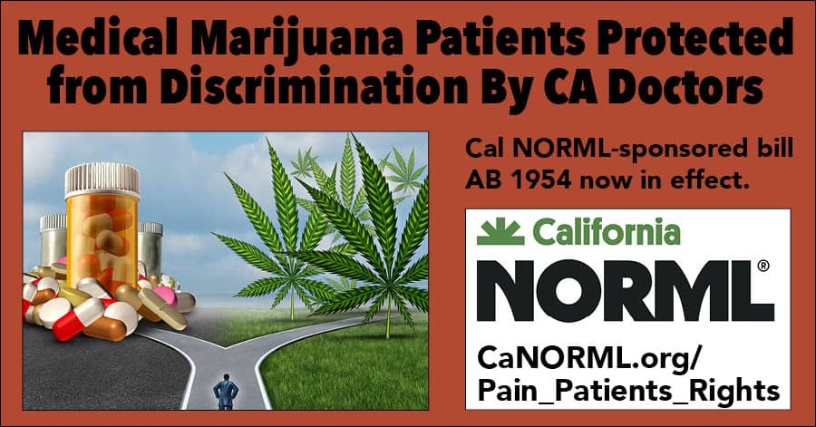 An illustration features a diverging path with pills and prescription bottles on one side and a marijuana leaf on the other. Text reads, "Medical Marijuana Patients Protected from Discrimination by CA Doctors." Highlighting patients' rights, the California NORML logo and website link are also shown. CA Norml