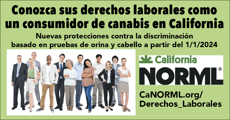 A diverse group of people stands together, accompanied by text in Spanish promoting awareness of derechos laborales for the consumidor de cannabis in California. The image includes the California NORML logo and a URL for more information: CaNORML.org/Derechos_Laborales. CA Norml