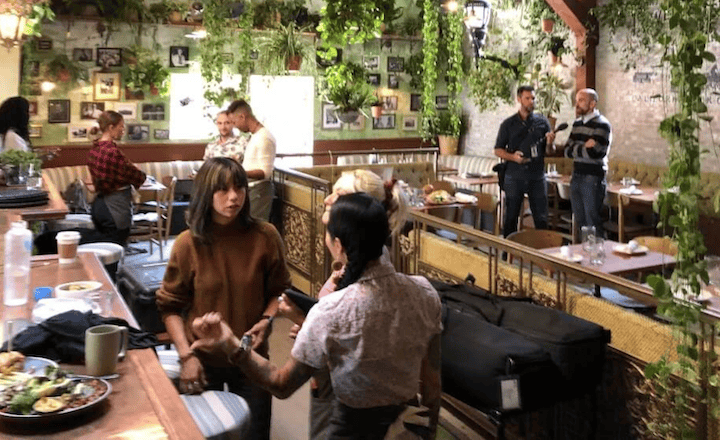 A lively café with lush greenery hanging from the ceiling and walls. People are engaged in conversation, while others are seated at tables with food and drinks. The atmosphere is cozy and vibrant, mixing rustic décor and comfortable seating—a true haven depicting a cannabis café bill envisioning community spaces. CA NORML
