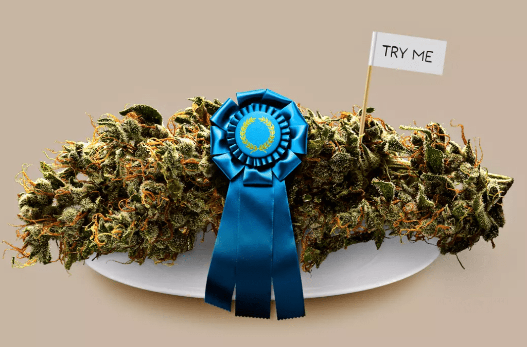 A large cannabis bud sits on a white plate, adorned with a blue ribbon award attached to it. A small flag with the text "TRY ME" is planted in the bud, suggesting it is a winning or recommended strain from the California State Fair. The background is plain beige. CA Norml
