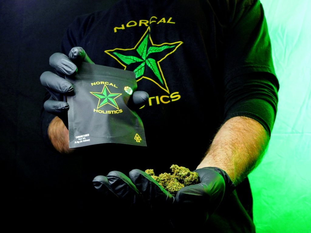 Male wearing Norcal Holistics t-shirt, holding cannabis flower in one hand and bag in another hand.
