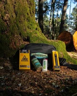 A collection of cannabis products from Nice Guys Delivery, including cartridges and pre-rolls, displayed on the ground in a sunlit forest beside a moss-covered tree and a black bag. CA Norml