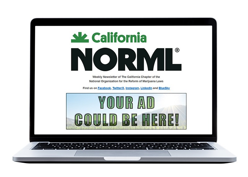 A laptop screen displays the California NORML newsletter with the text "YOUR AD COULD BE HERE!" in a banner, highlighting Newsletter Advertising opportunities, and social media links above it. CA Norml