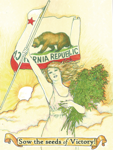 A woman triumphantly waves a "California Republic" flag and carries an armful of freshly-harvested marijuana plants. She is depicted against a yellow sky with billowing clouds at sunrise. Text in the scroll at the bottom reads, "Sow the seeds of Victory!" Cal NORML.