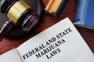 A book open to a page titled "Federal and State Marijuana Laws" sits on a desk beside a judge's gavel and references to Federal Legal Compliance for California M-License Operators. Ca NORML